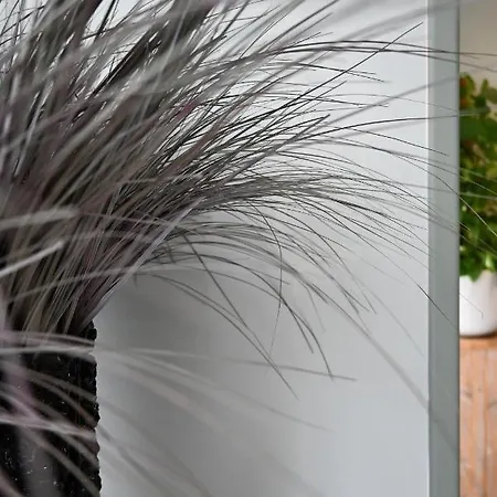 酒店 卡塔莉娜夫人酒店