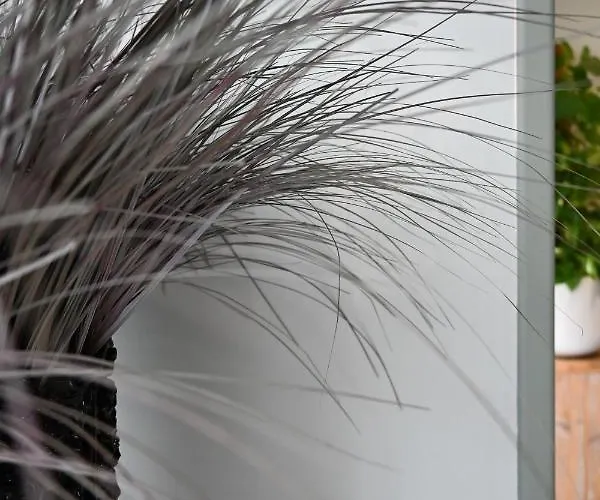 Готель Dona Catalina